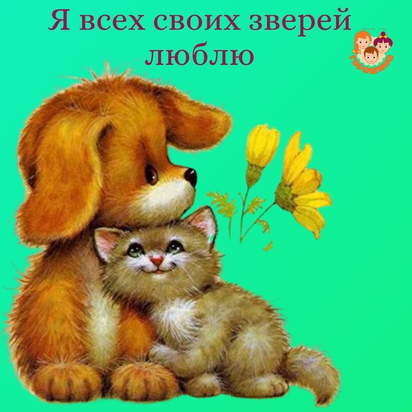 7 день.